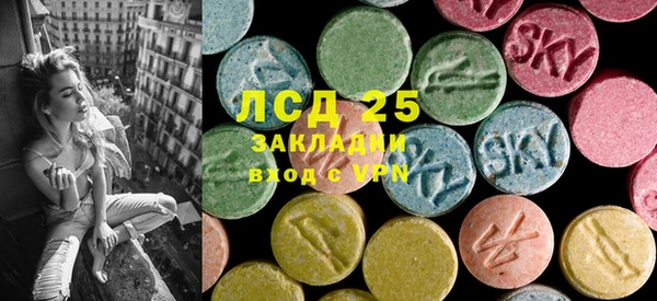 ГАЛЛЮЦИНОГЕННЫЕ ГРИБЫ Беломорск