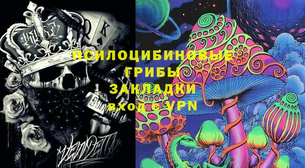 ГАЛЛЮЦИНОГЕННЫЕ ГРИБЫ Беломорск