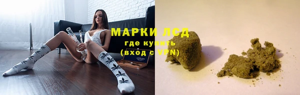 ГАЛЛЮЦИНОГЕННЫЕ ГРИБЫ Беломорск