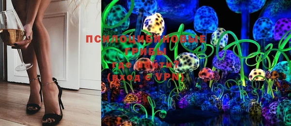 ГАЛЛЮЦИНОГЕННЫЕ ГРИБЫ Беломорск