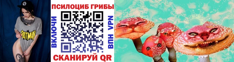 Псилоцибиновые грибы Cubensis Гремячинск